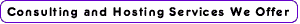 Consulting Services